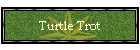 Turtle Trot